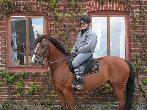 Anden særlig race Freja (solgt) - Hjemme hos Moni .. sidste dag jeg havde hende billede 4