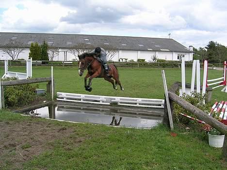 Anden særlig race Freja (solgt) - Det perfekte billede over vandgraven... sidste dag jeg havde hende billede 5
