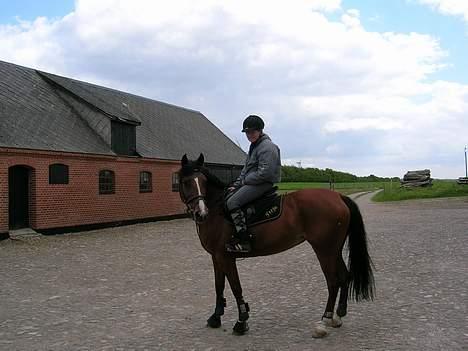 Anden særlig race Freja (solgt) - hjemme hos Moni. sidste dag jeg havde hende billede 17