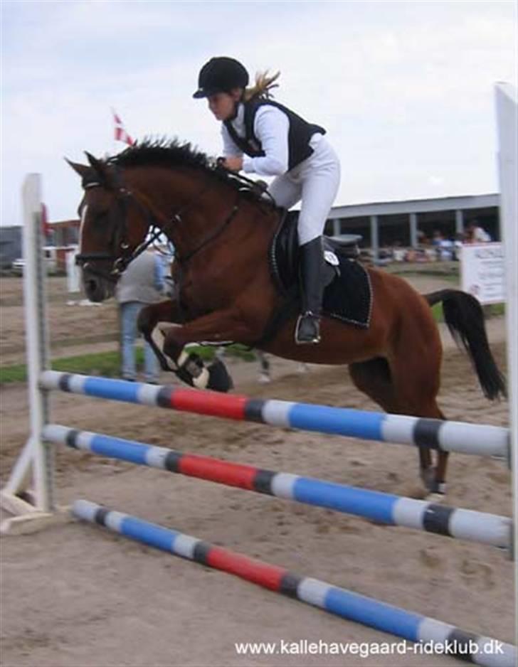 Anden særlig race Freja (solgt) - Det er da den flotte :p  billede 19