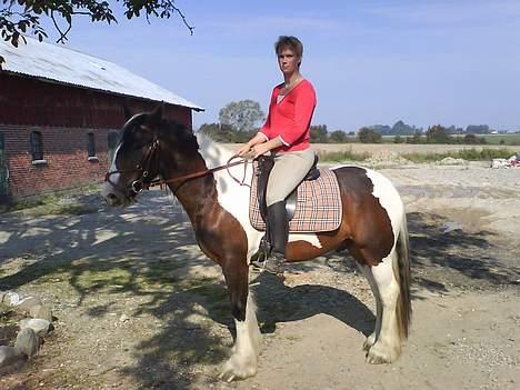 Irish Cob *O`MALLEY*  † R.I.P. † - Malle og jeg billede 2