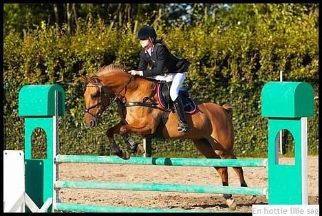 Irsk Sportspony Limbo  - jeg elsker diig :: Musen jagter katte , når der er 2 torsdage i en uge når gullerødder vokser på træerne og æblerne i jorden først der og ikke engang vil jeg holde op med a elske dig (; <33 billede 6