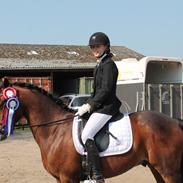 DSP Tricksy f af Lillenæsgård