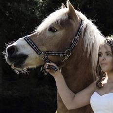 Haflinger Maldini Van Abeele* Min fremtid *<3