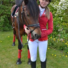 Welsh Cob (sec D) Fronerthig Mary Jane!<3 $$$