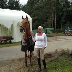 Fuldblod (XX) R.I.P All That Jazz