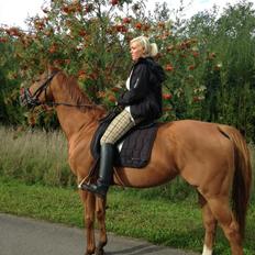 Fuldblod (XX) R.I.P All That Jazz