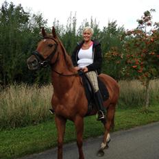 Fuldblod (XX) R.I.P All That Jazz