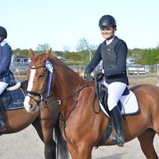 Dansk Varmblod Lester Estelle