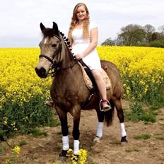 Anden særlig race Freja