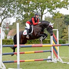 Welsh Cob (sec D) Laban Søholt.