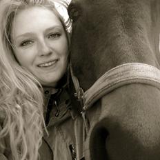 Dansk Varmblod Ran Frydenlund