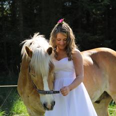 Haflinger Maldini Van Abeele* Min fremtid *<3