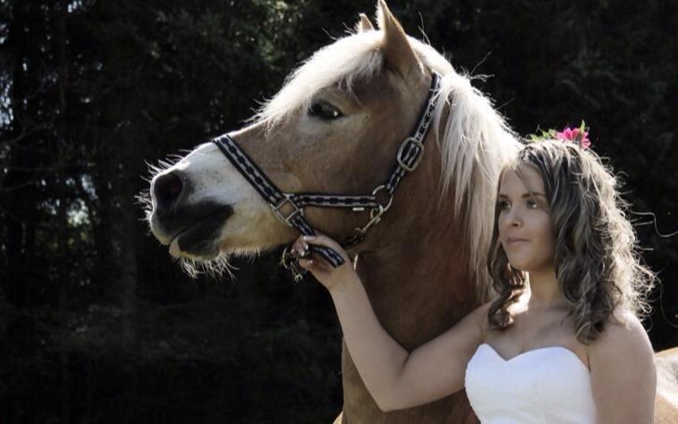 Haflinger Maldini Van Abeele* Min fremtid *<3 billede 2