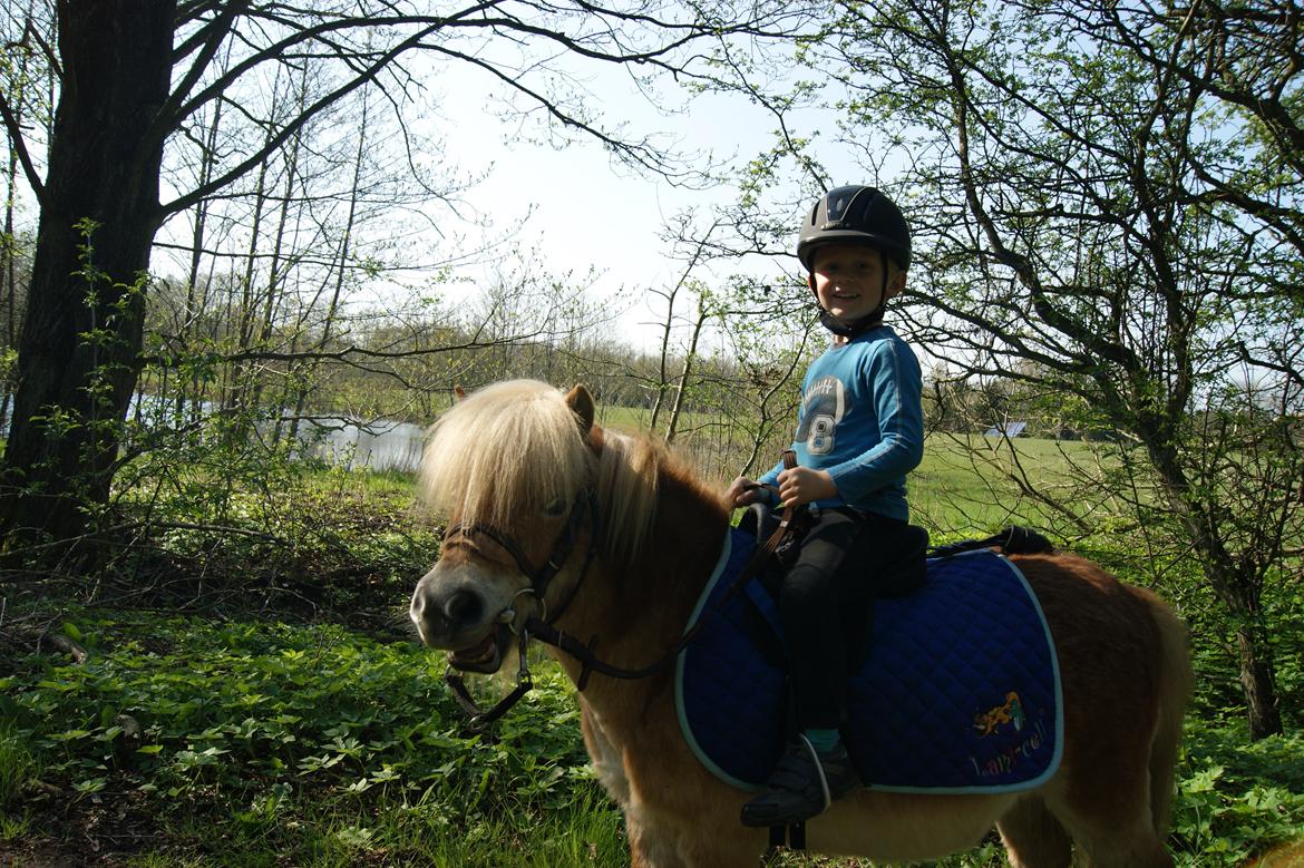 Anden særlig race Noa - Min søn ude og ride i naturen D 20 April 2014 billede 16