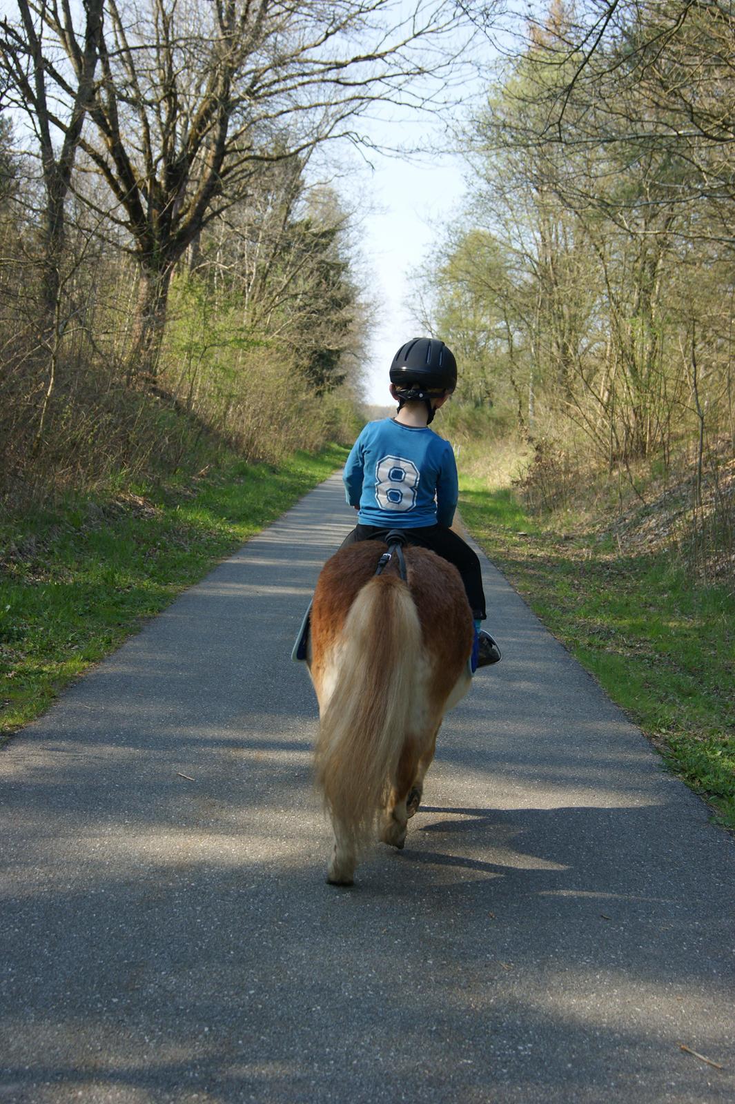 Anden særlig race Noa - Når enden er god er alting godt D 20 April 2014 billede 18