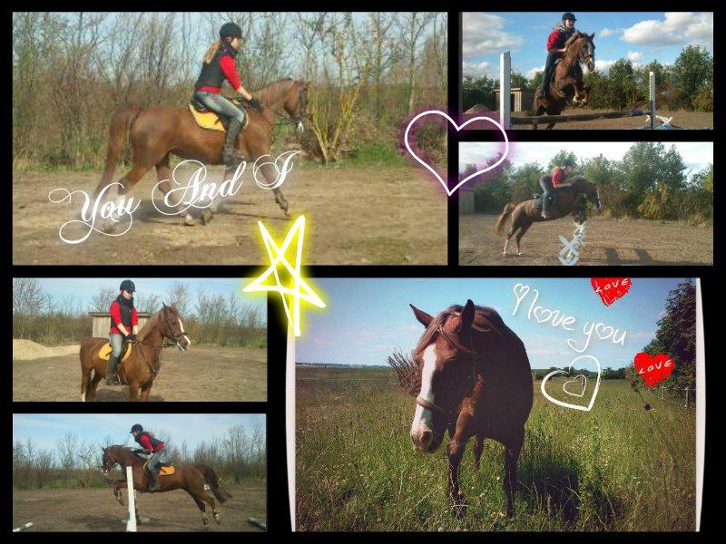 Anden særlig race Vestergårds La Foxy billede 2