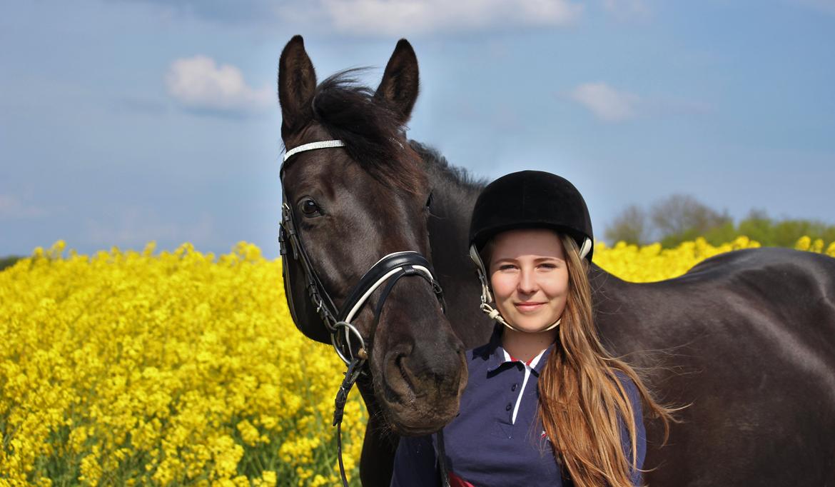 Dansk Varmblod Lyrik billede 5