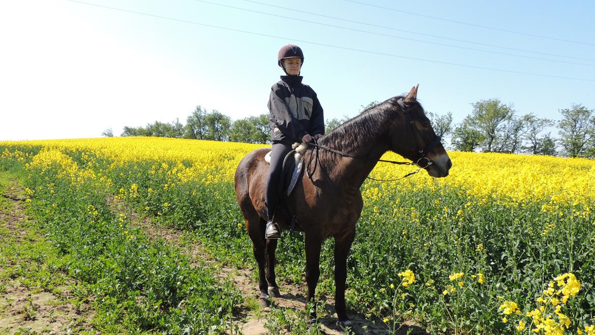 Anden særlig race Oscar - Ossie <3 - SOLGT billede 16