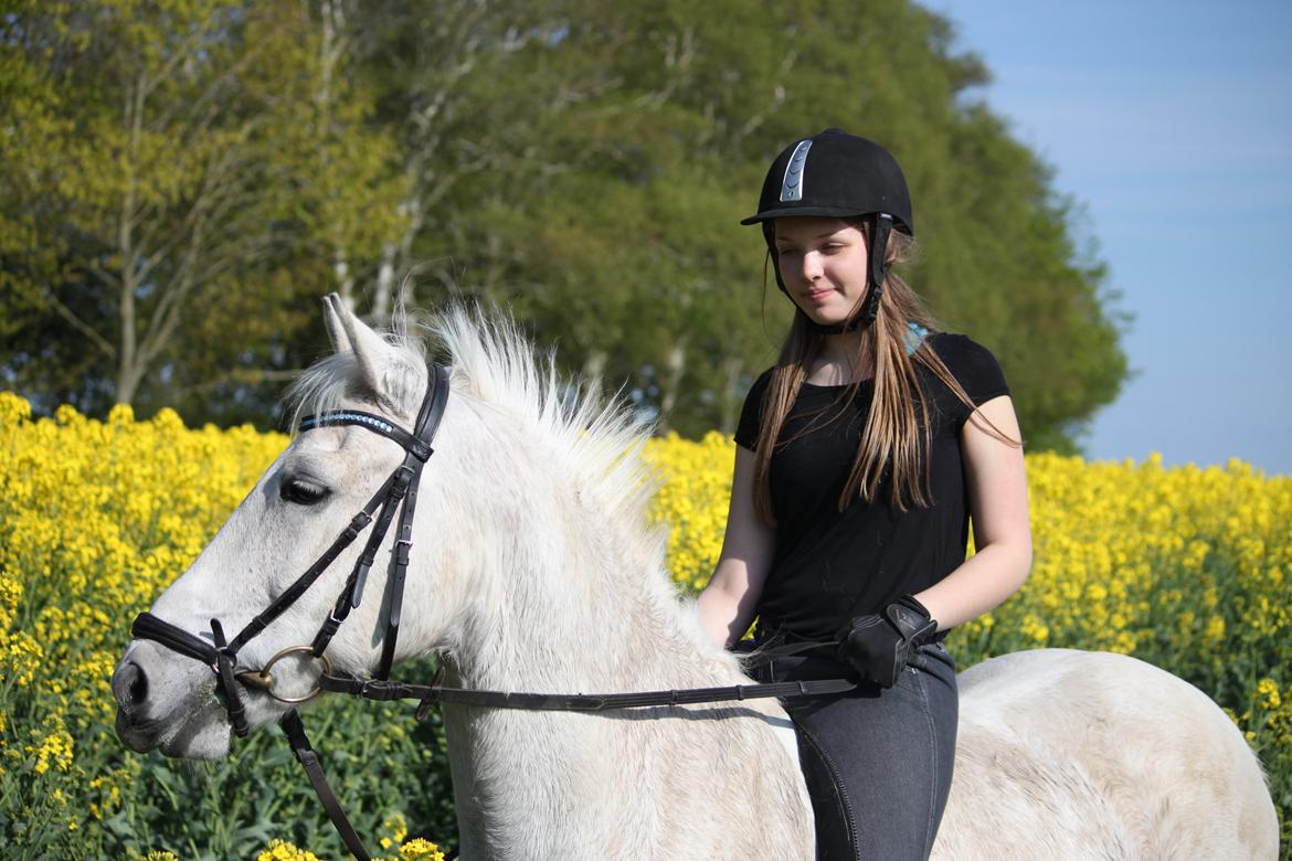 Anden særlig race Luka billede 12