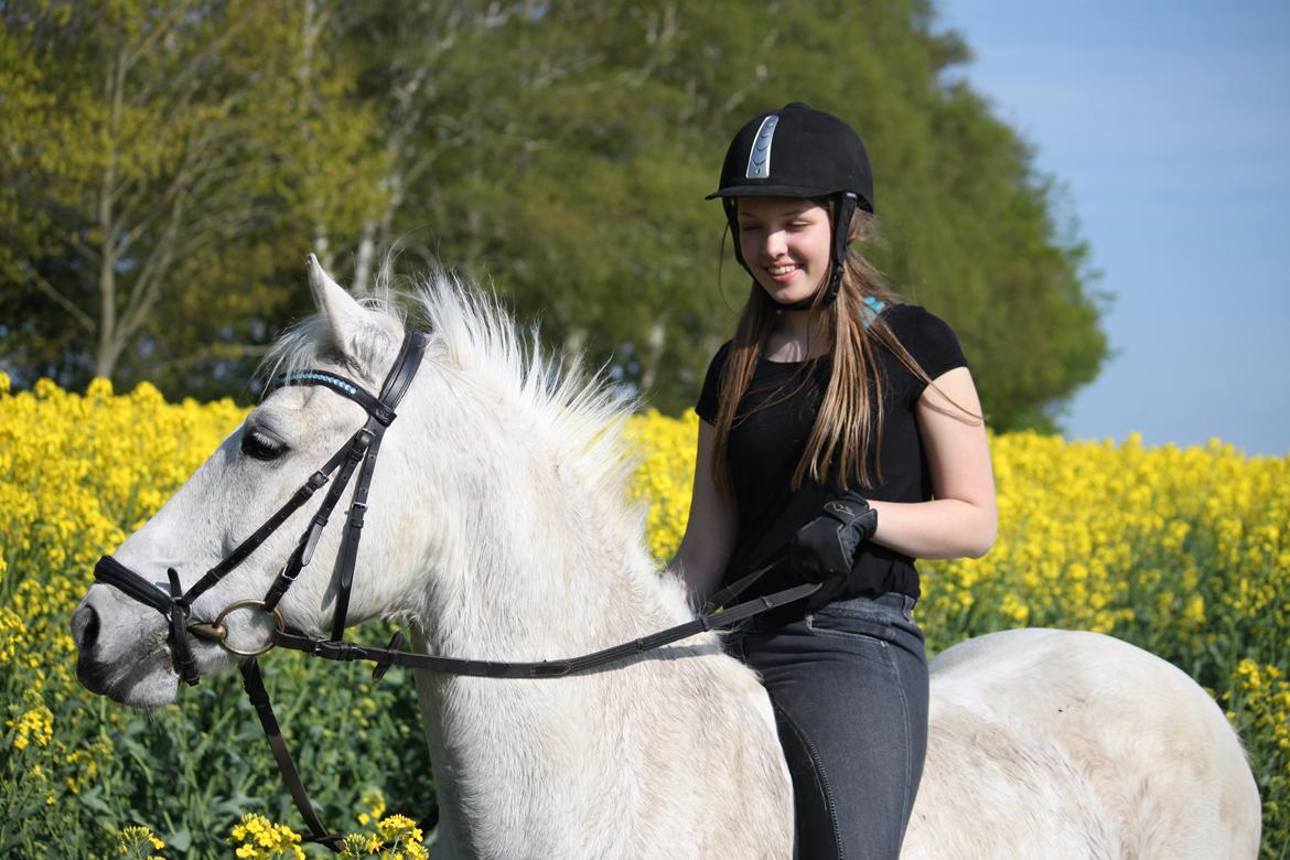 Anden særlig race Luka billede 13