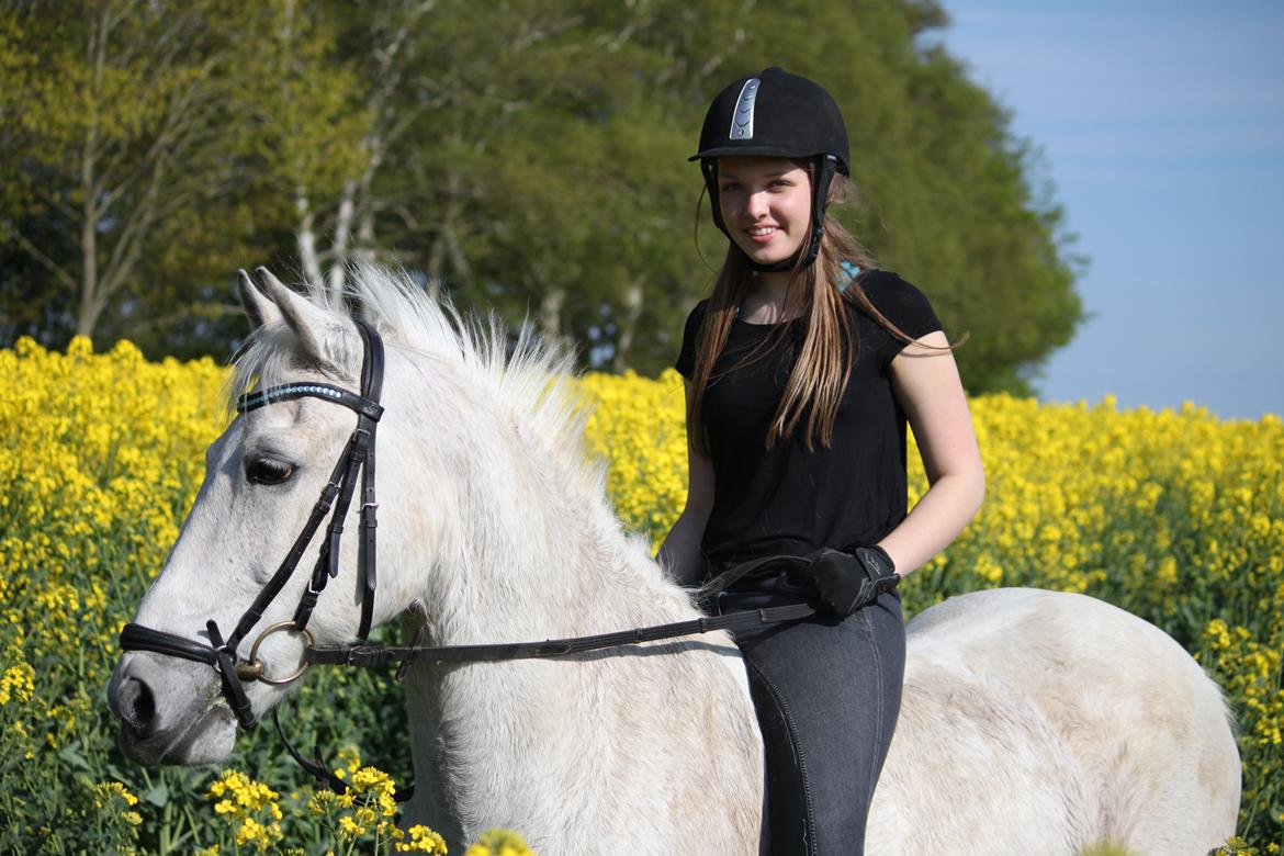 Anden særlig race Luka billede 15