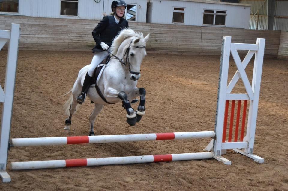 Anden særlig race Luka billede 17