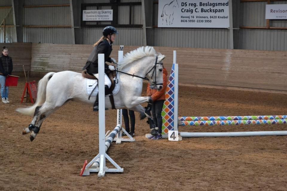 Anden særlig race Luka billede 18