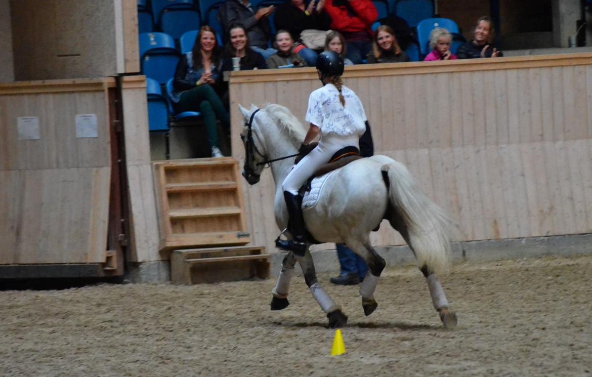 Anden særlig race Luka billede 19