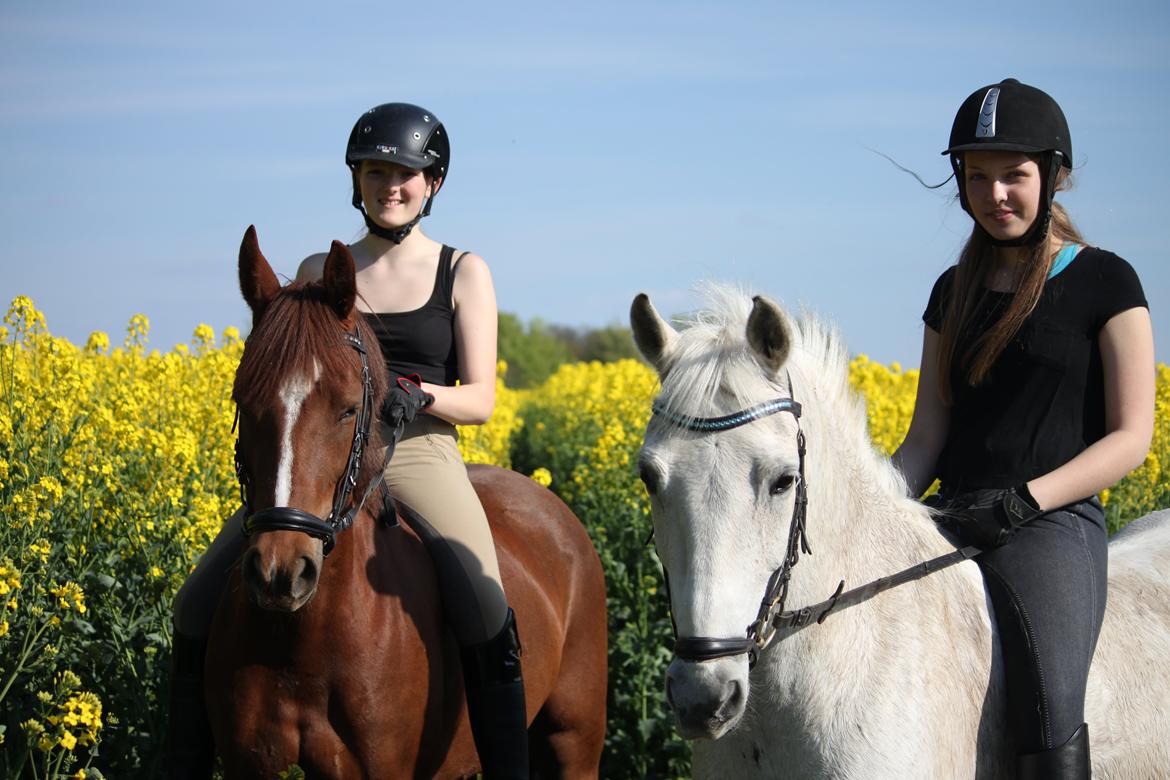 Anden særlig race Luka billede 16