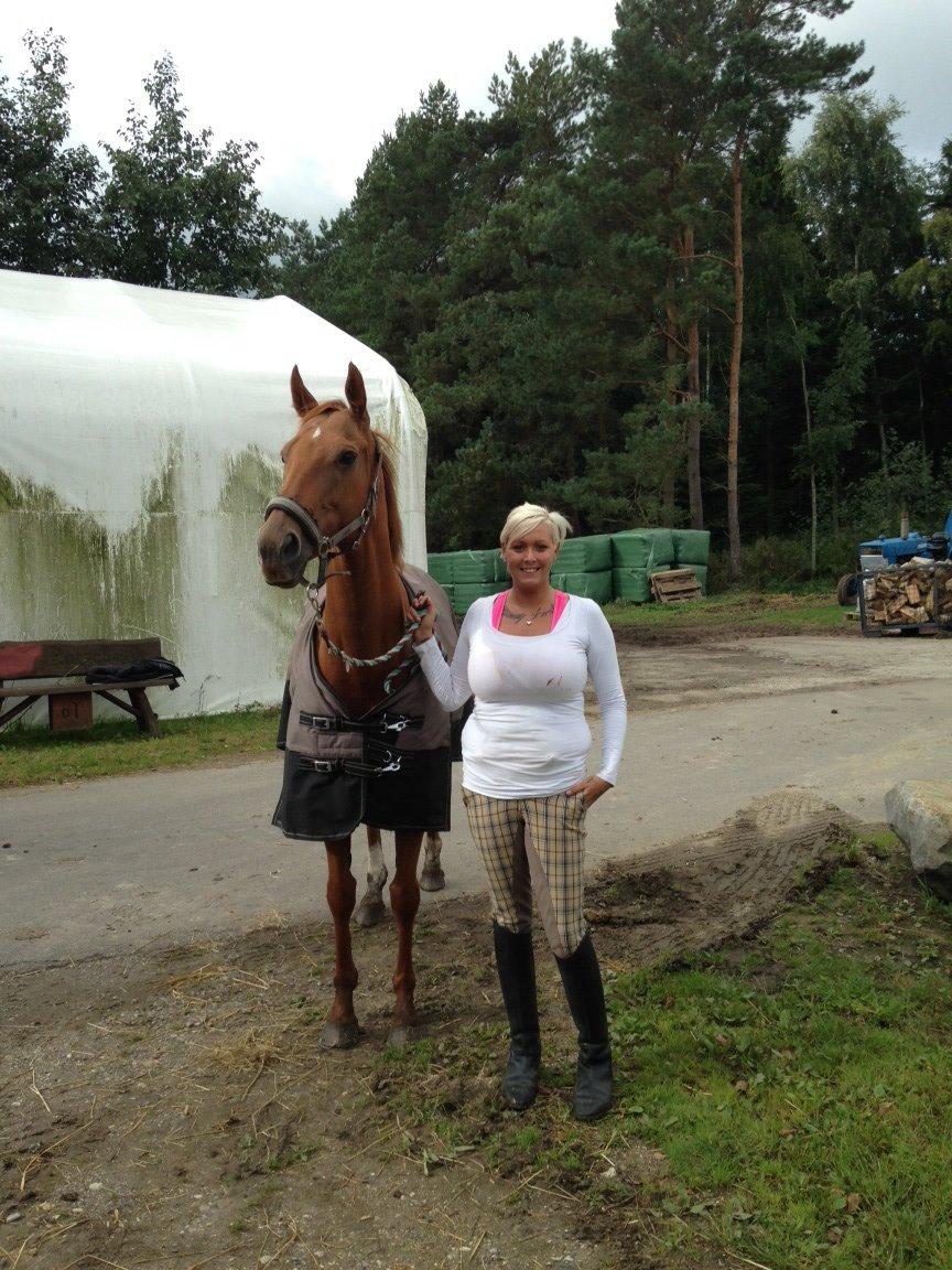 Fuldblod (XX) R.I.P All That Jazz billede 1