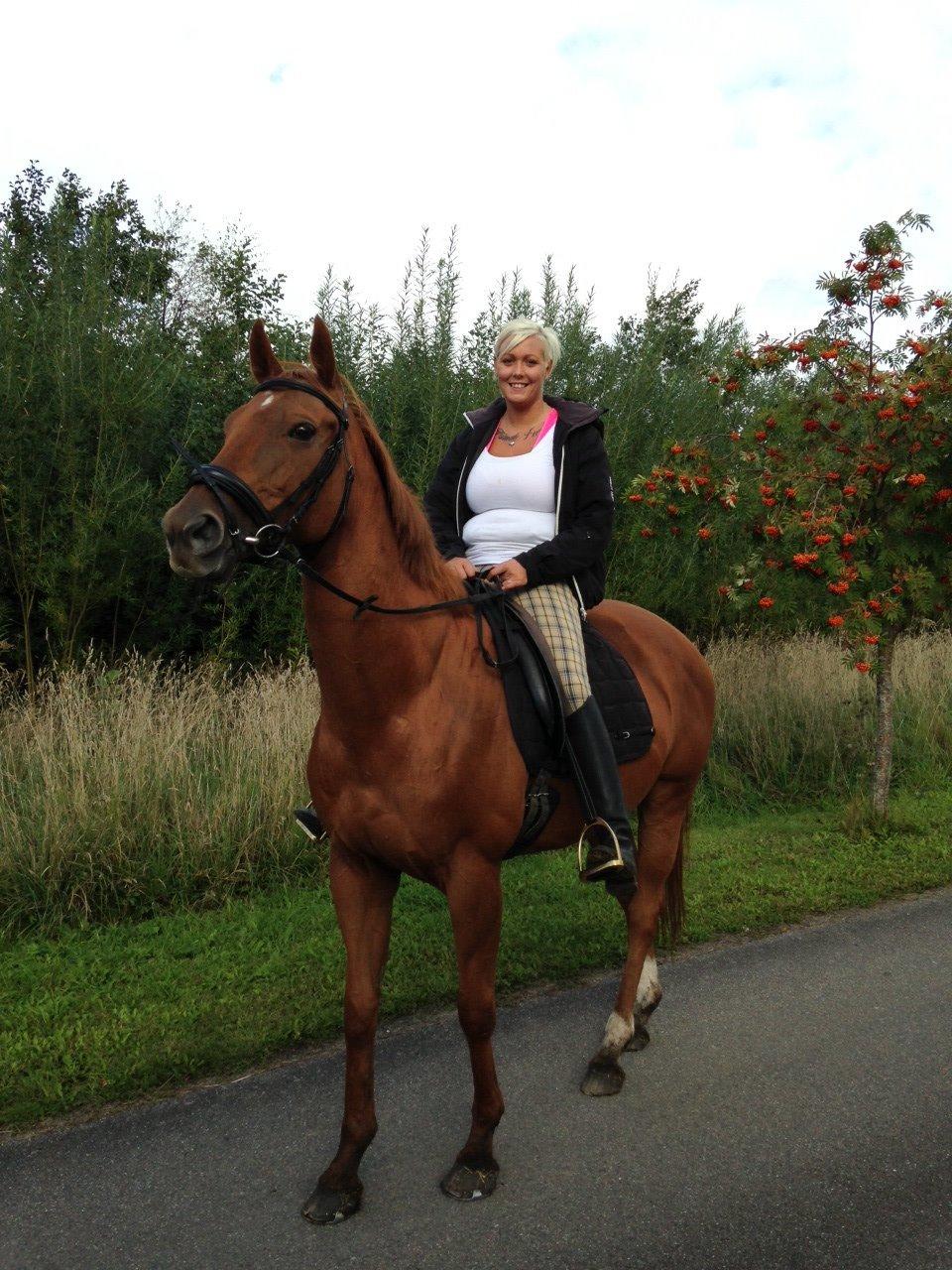 Fuldblod (XX) R.I.P All That Jazz billede 3