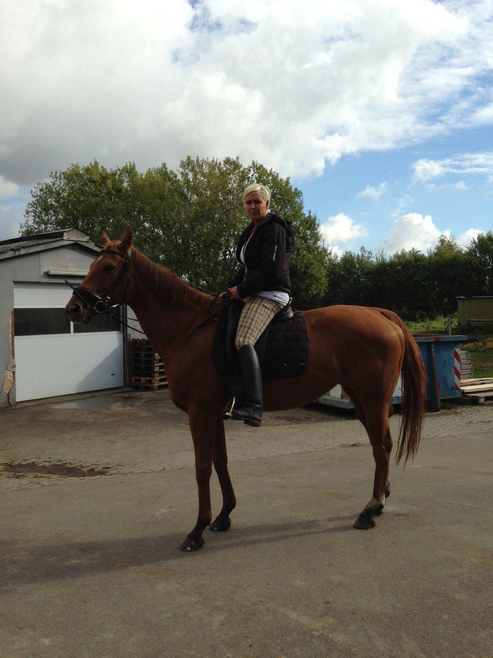 Fuldblod (XX) R.I.P All That Jazz billede 4