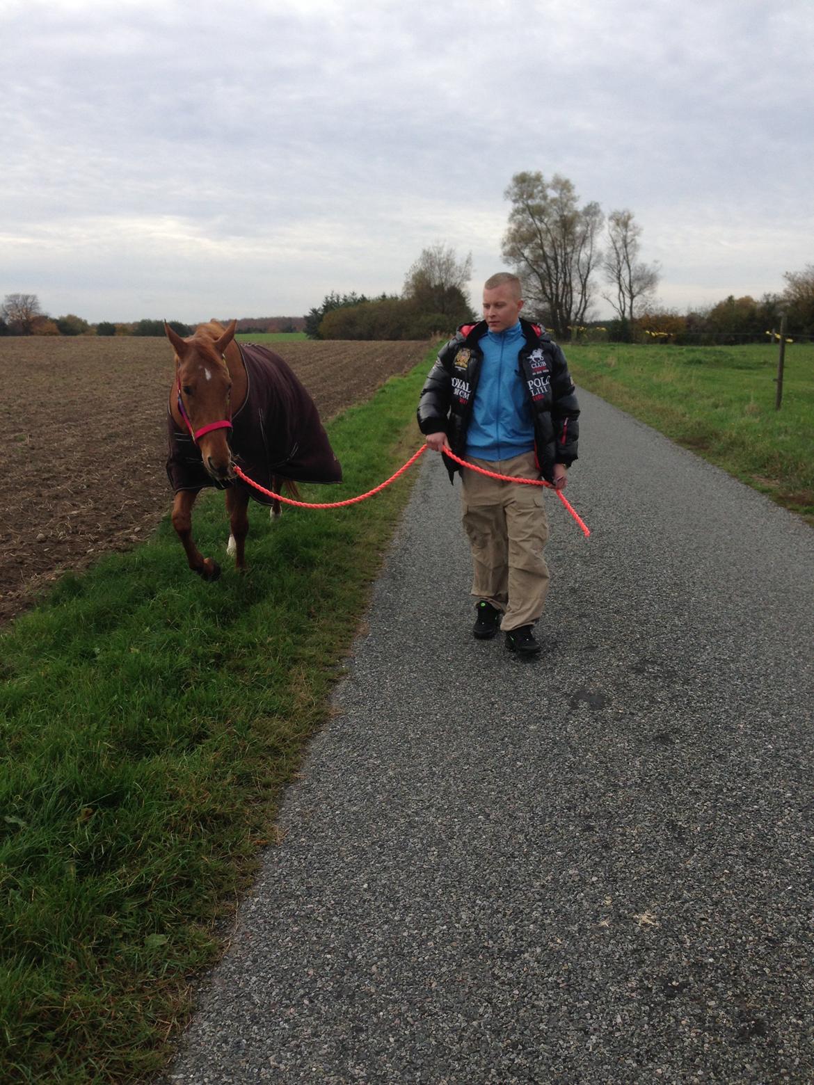 Fuldblod (XX) R.I.P All That Jazz billede 9