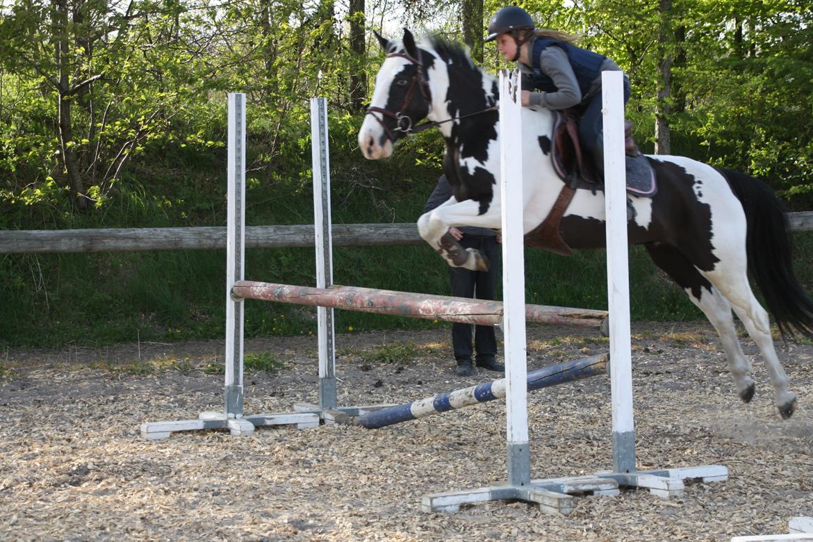 Anden særlig race Dolché - 2 springtime nogensinde første gang udendørs <3 billede 3