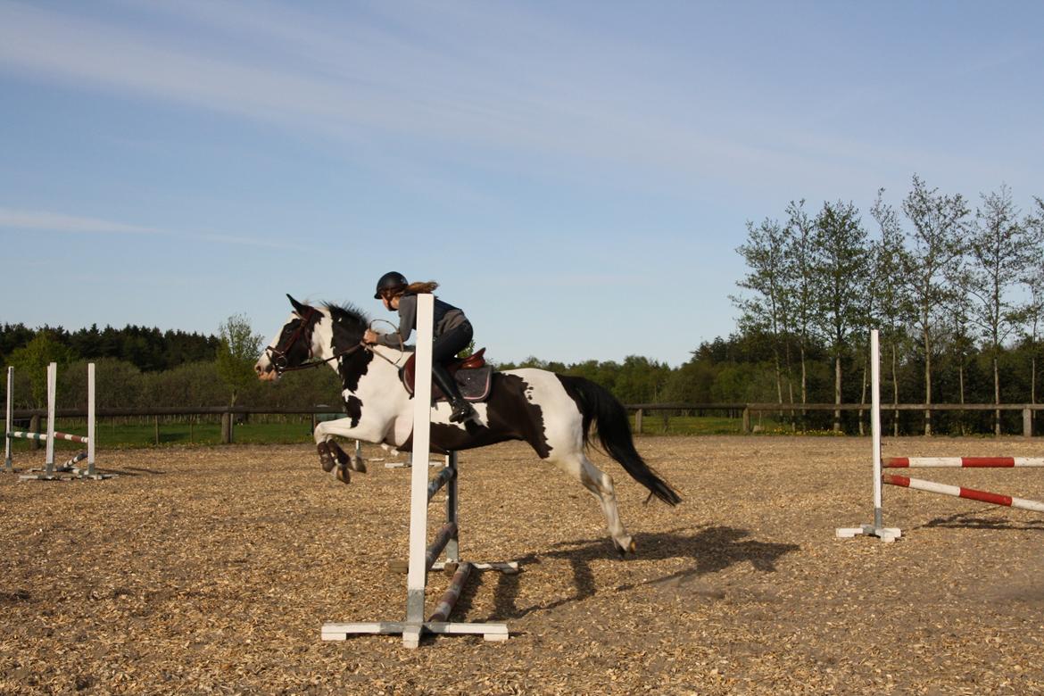 Anden særlig race Dolché - 2 springtime nogensinde første gang udendørs <3 billede 5