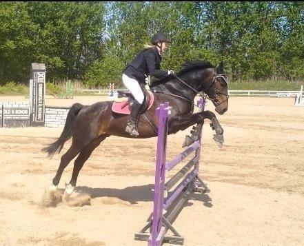 Anden særlig race Sweet Alexander billede 25