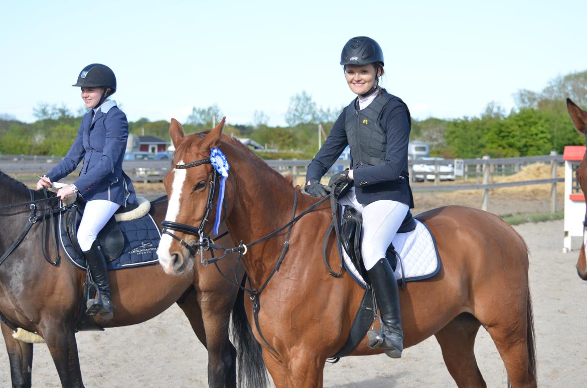 Dansk Varmblod Lester Estelle - 2. plads i LD med stilkarakteren 9,0. Maj 14 billede 2