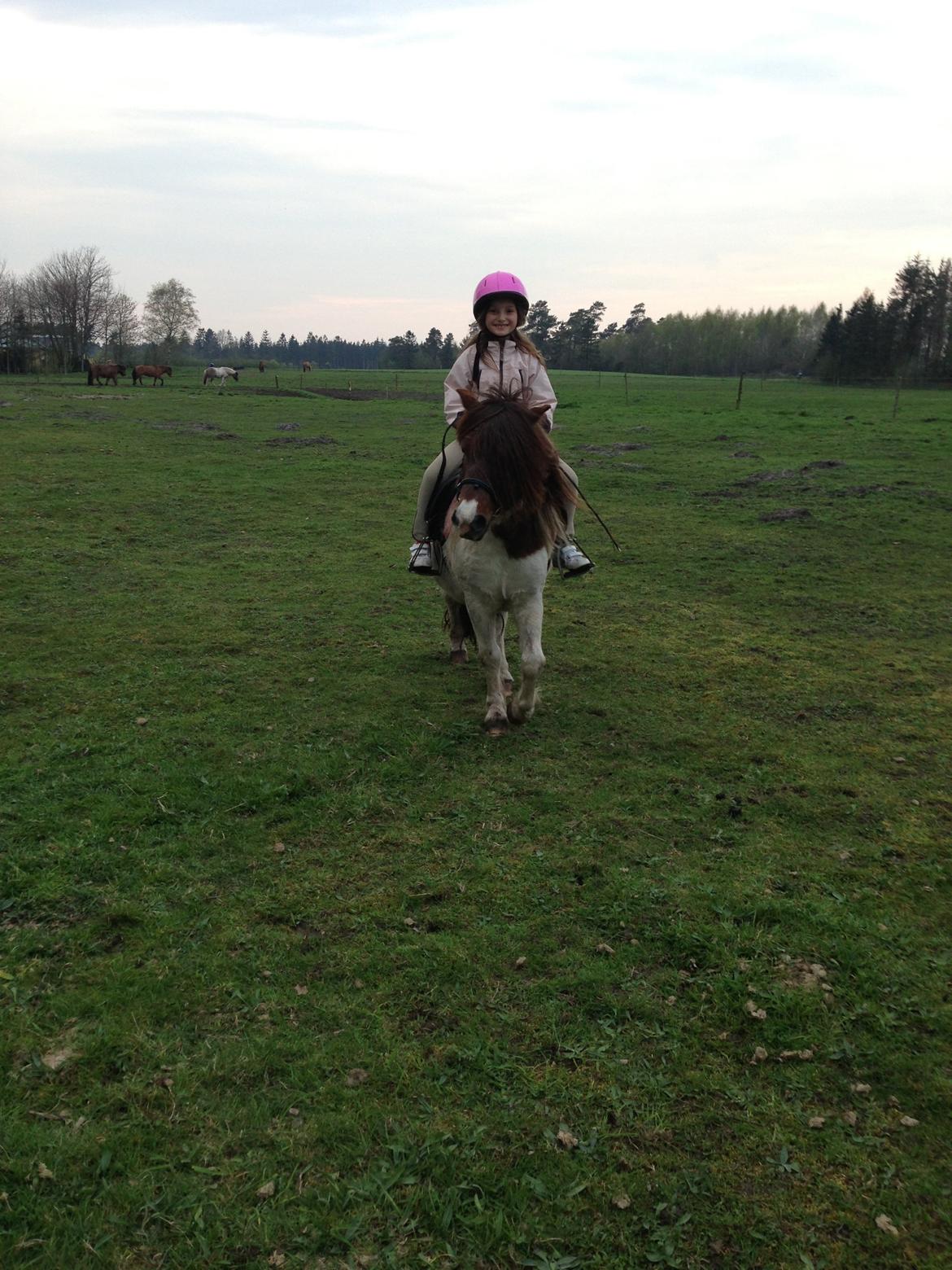 Anden særlig race Lucy billede 1