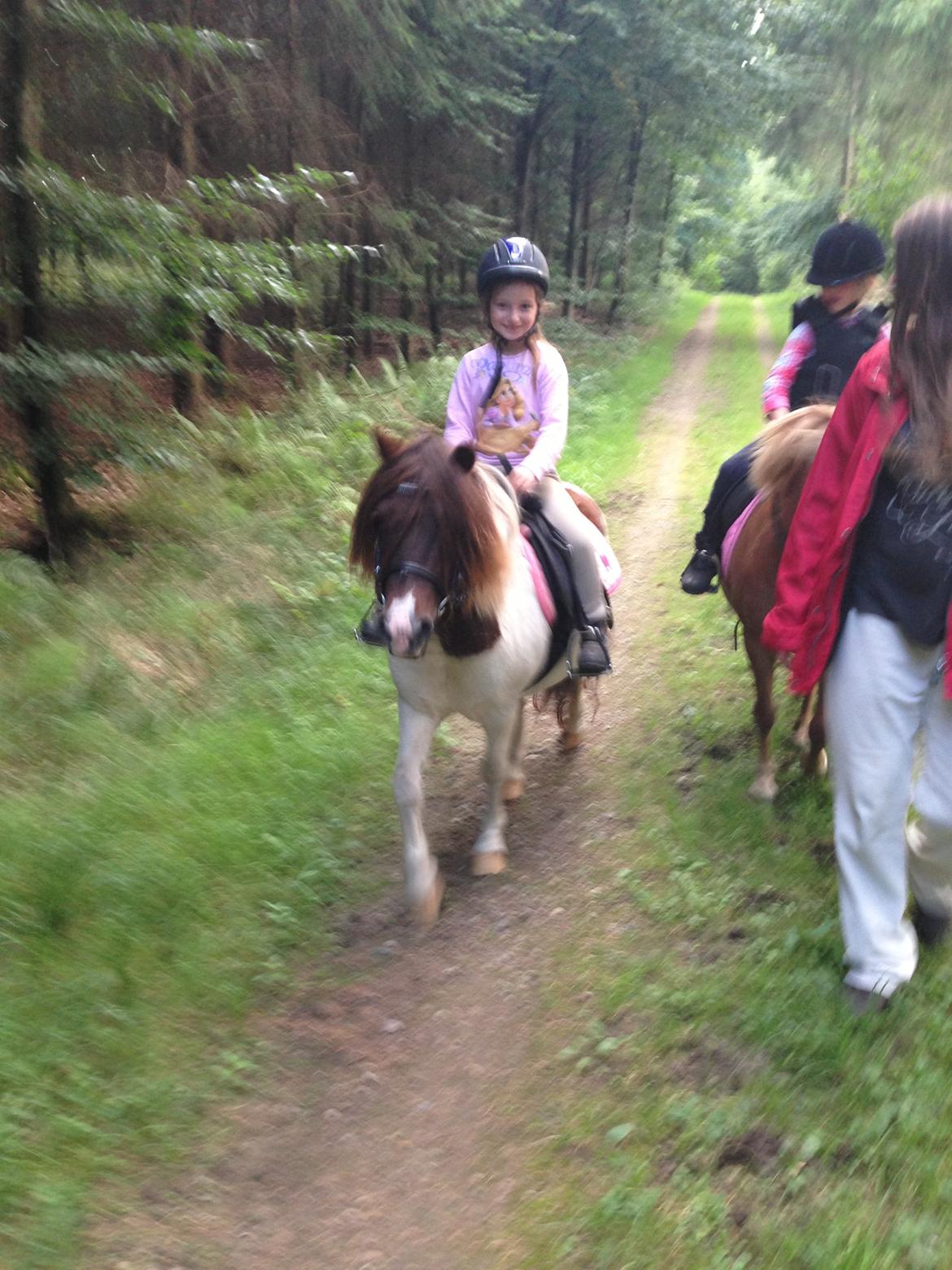Anden særlig race Lucy billede 8