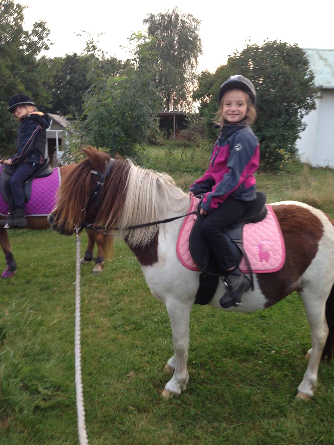 Anden særlig race Lucy billede 9