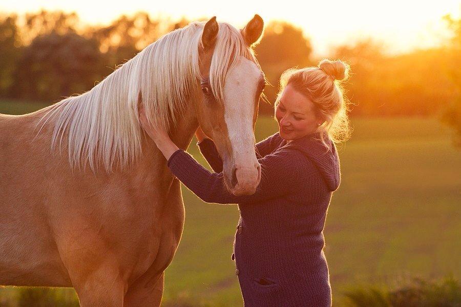 Palomino Richelieu's Fièvre d'or - Maj 2014, 13 måneder gammel. Foto Line Madsen billede 22