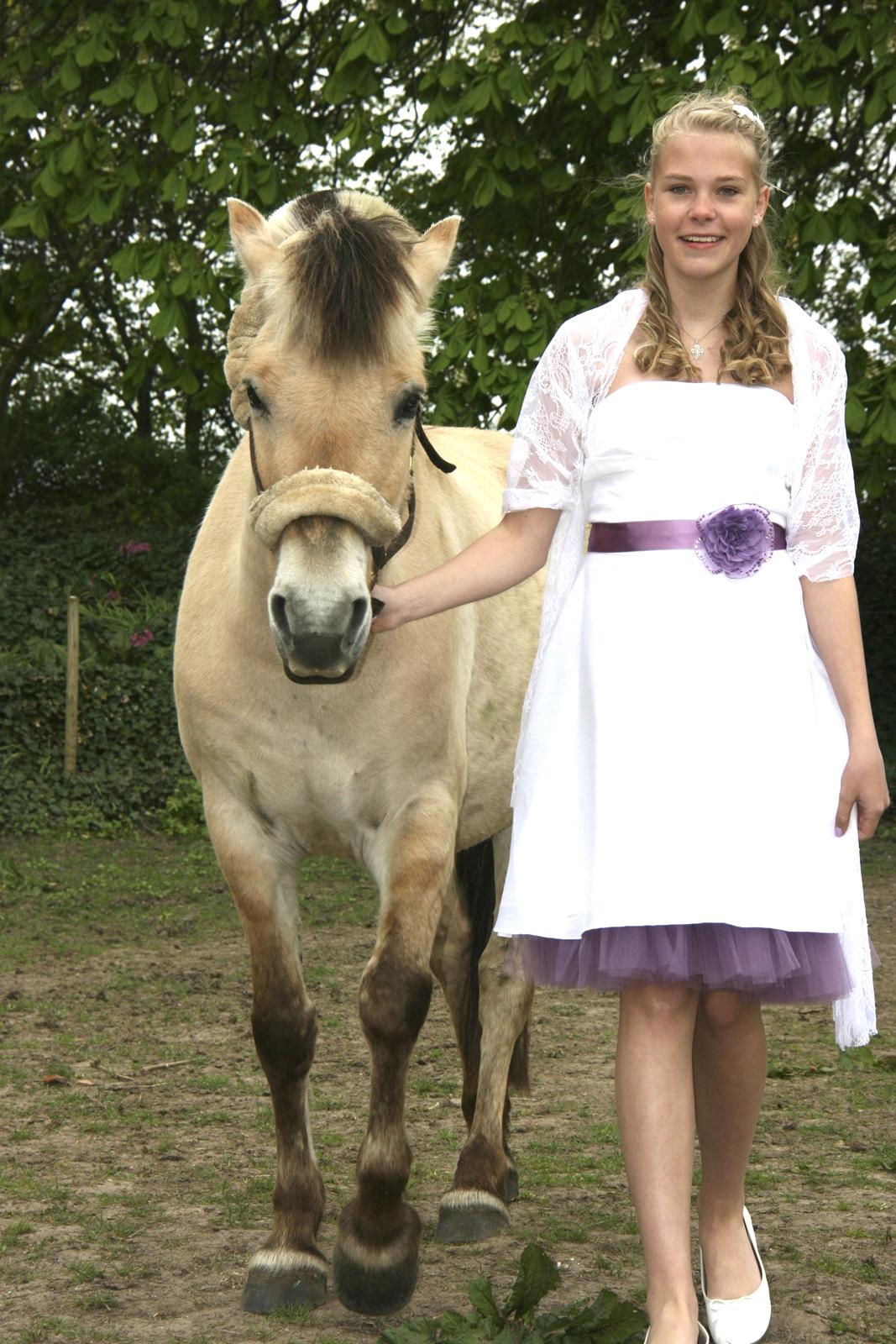 Fjordhest Felicia - Konfirmations billede billede 7