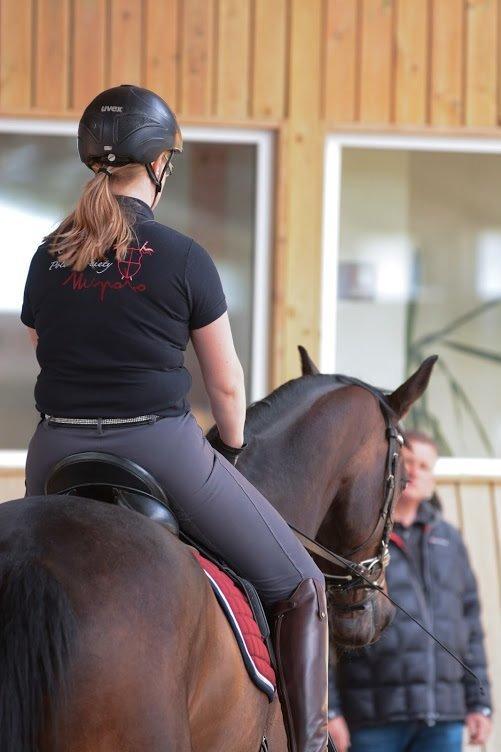 Dansk Varmblod Rosiana-Dea billede 19