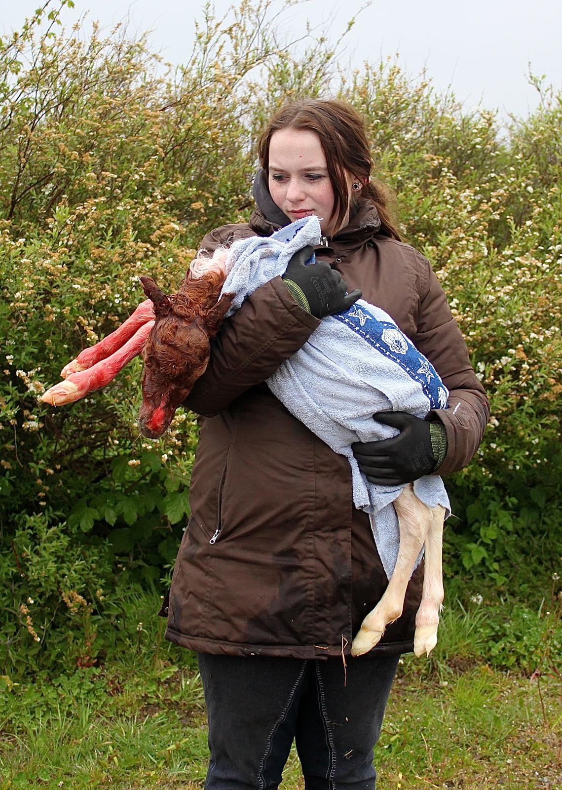 Miniature My Little Fellow - holde ham. Mærke han var der og at han fandtes. Og ikke mindst at han ikke var i live. billede 6