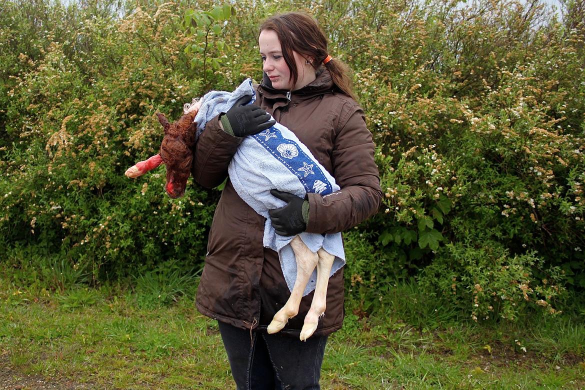 Miniature My Little Fellow - holde ham. Mærke han var der og at han fandtes. Og ikke mindst at han ikke var i live. billede 7