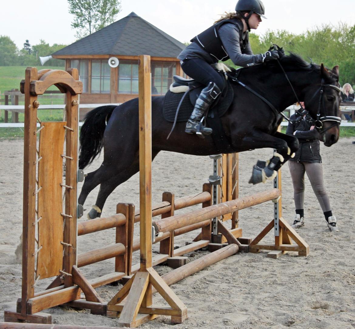 New Forest monica søblink<3 (solgt):'( billede 34