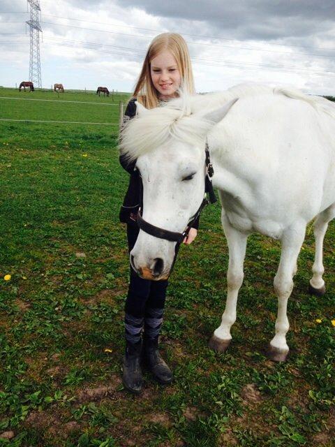 Anden særlig race Turgon - Hygge ude på folden med min elskede pony!<3 billede 14