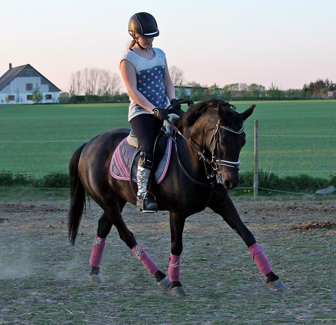 New Forest monica søblink<3 (solgt):'( billede 37