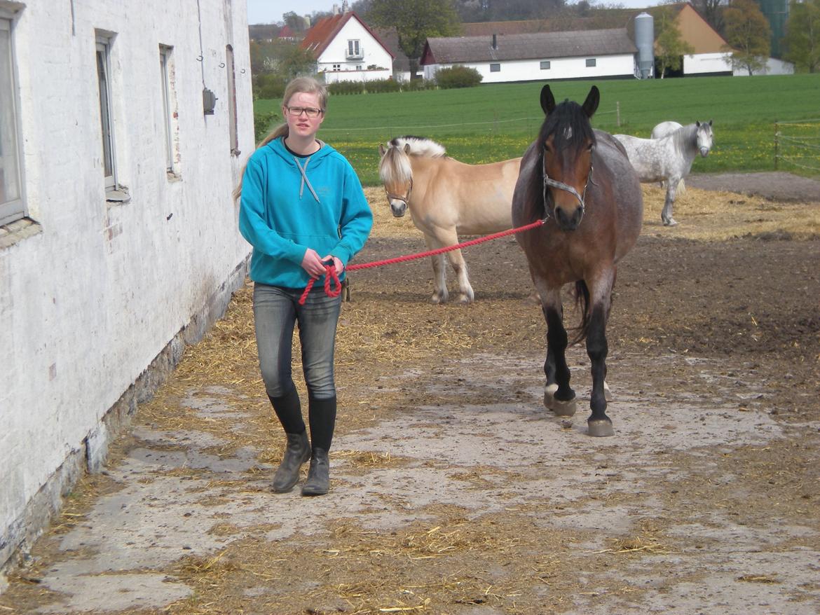 Anden særlig race Siegårds Forglemmigej *Glimmer* 2009-? - Foto af min morfar :P billede 13